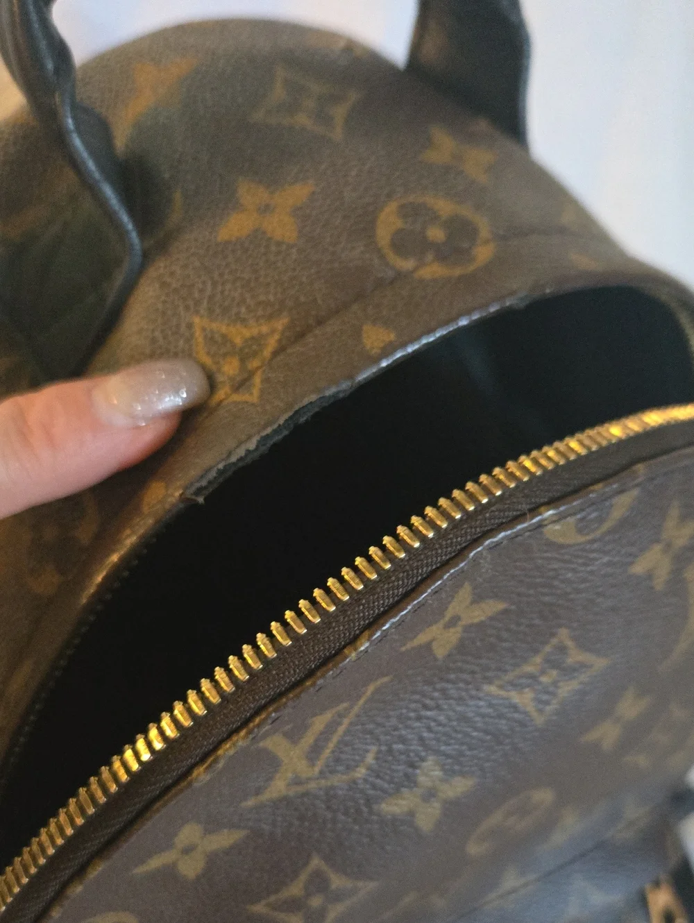 🔥🔥🔥Authentic Louis Vuitton Monogram Palm Springs Backpack PM